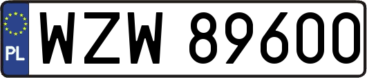 WZW89600