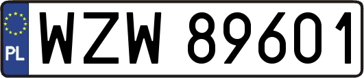 WZW89601