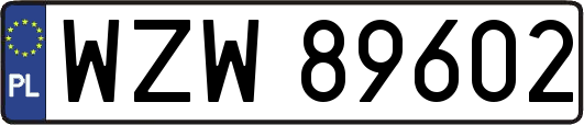 WZW89602