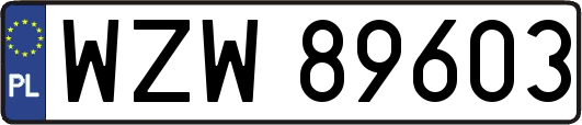 WZW89603
