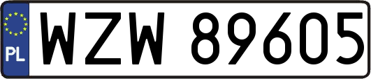 WZW89605