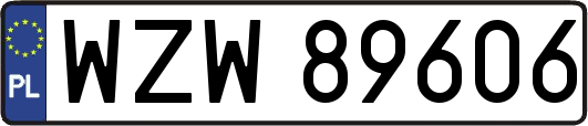 WZW89606