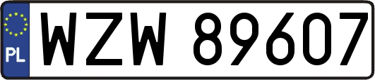 WZW89607