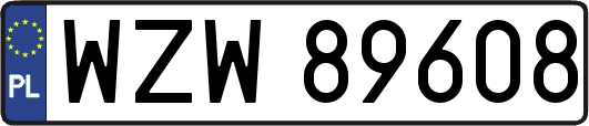 WZW89608