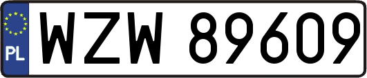 WZW89609