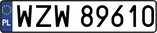 WZW89610