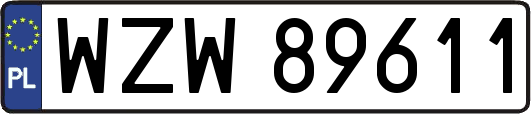 WZW89611