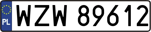 WZW89612
