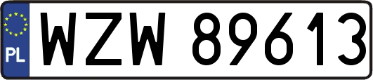 WZW89613