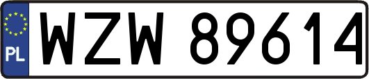 WZW89614