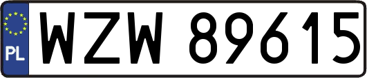 WZW89615