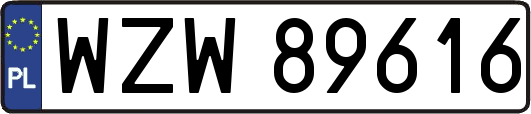 WZW89616
