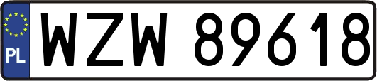 WZW89618