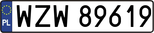 WZW89619