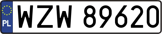 WZW89620