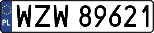 WZW89621