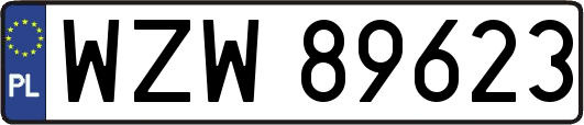WZW89623