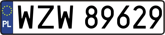 WZW89629