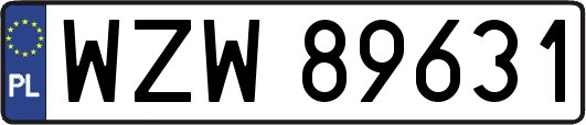 WZW89631