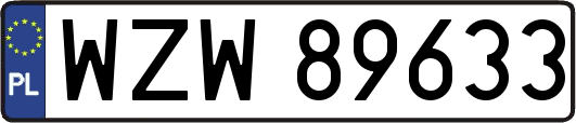 WZW89633