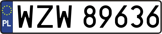 WZW89636