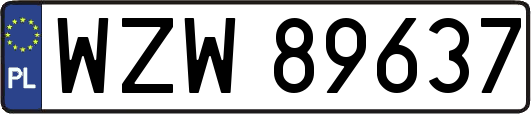 WZW89637