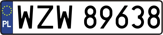 WZW89638