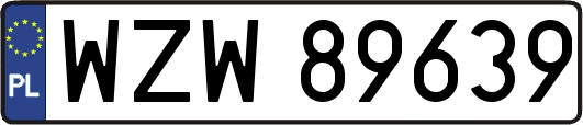WZW89639