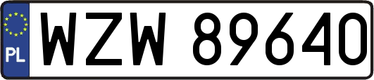 WZW89640