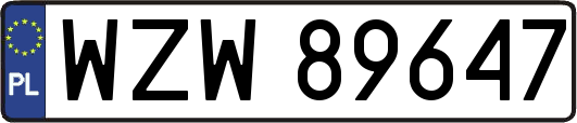 WZW89647