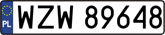WZW89648