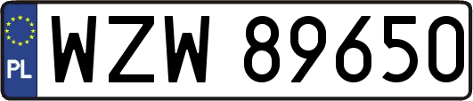 WZW89650