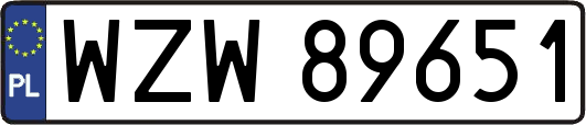 WZW89651