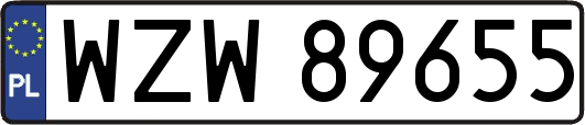 WZW89655