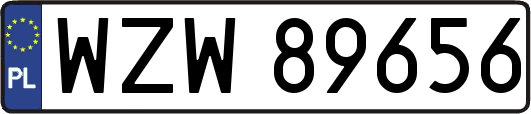 WZW89656