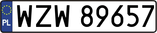 WZW89657