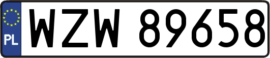 WZW89658