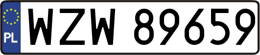 WZW89659