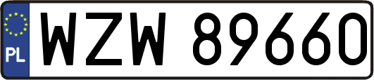 WZW89660