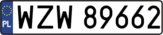 WZW89662