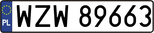 WZW89663