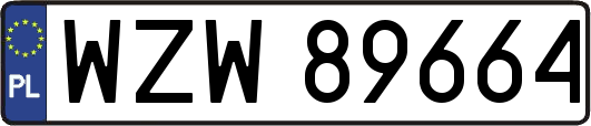 WZW89664
