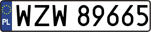 WZW89665