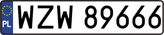 WZW89666