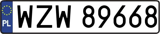 WZW89668