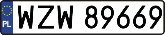 WZW89669