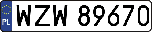 WZW89670