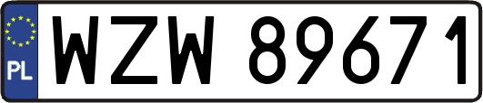 WZW89671