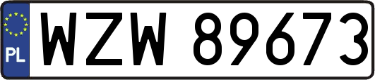 WZW89673