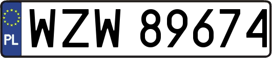 WZW89674